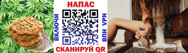Купить где  Кремёнки  Cannafood конопля 