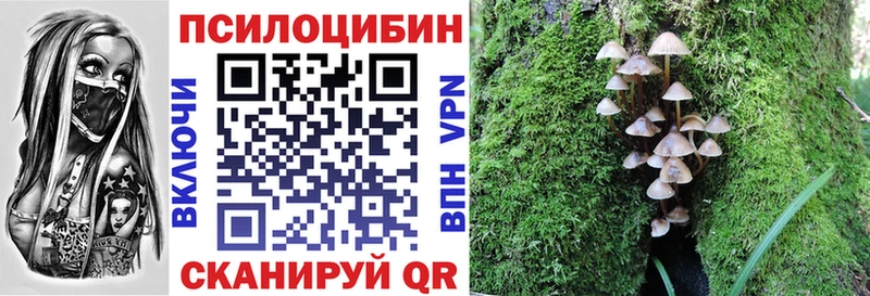 Купить где  Кремёнки  Галлюциногенные грибы MAGIC MUSHROOMS 